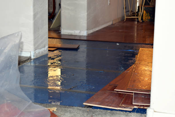 Professional Burst Pipe Cleanup technician working in East Lyme, CT